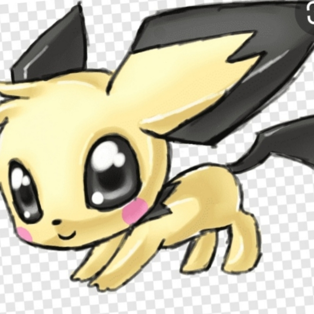 Meet your Posher, Sumi nia